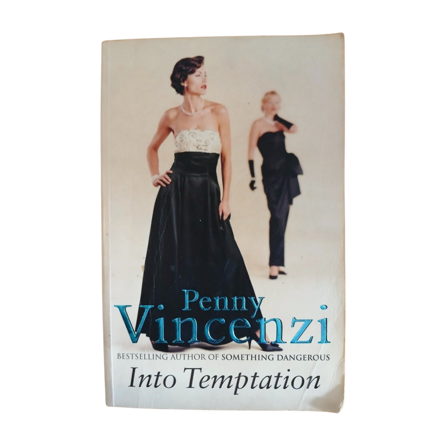 Into Temptation by Penny Vincenzi
