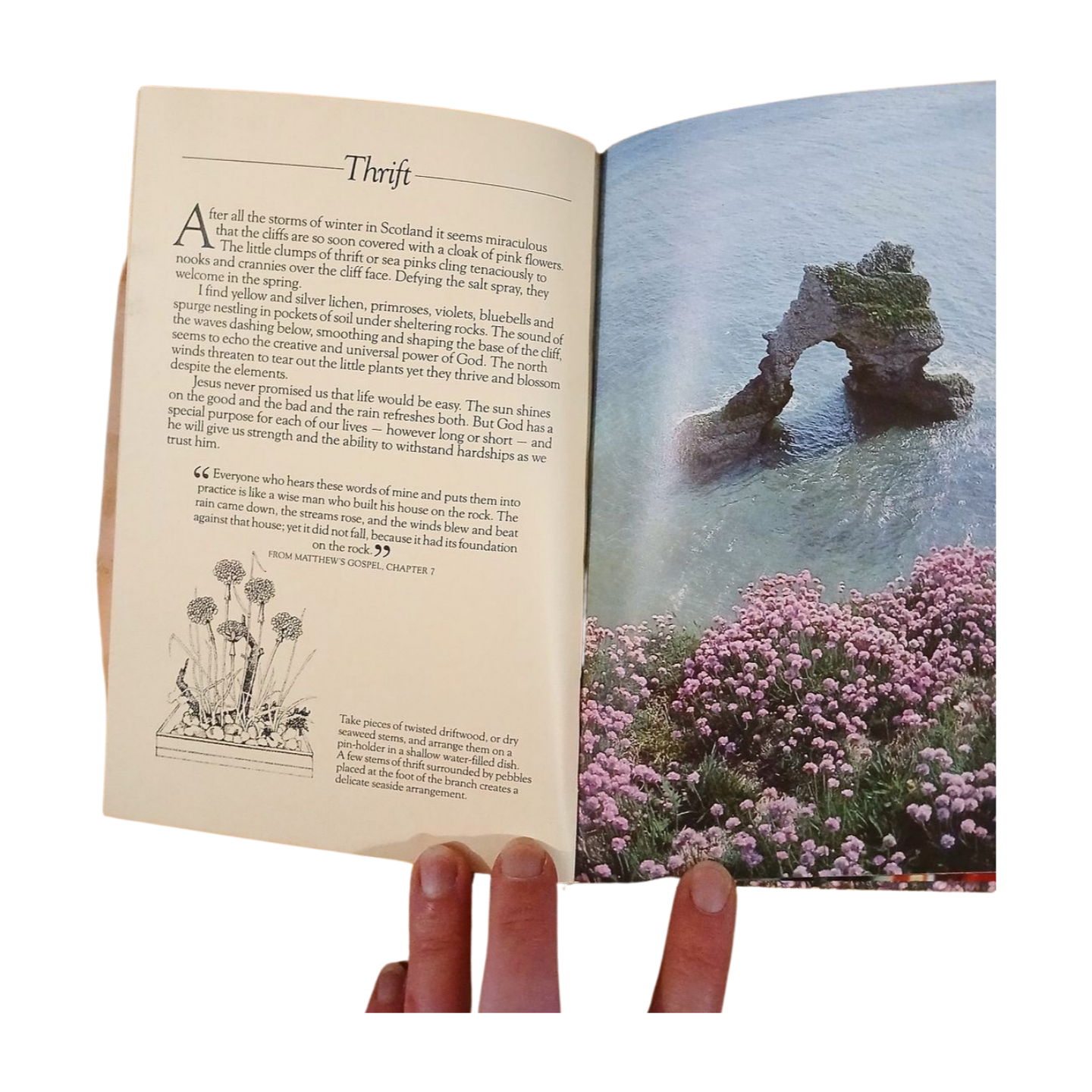 Flowers With Love by Beverly Parkin