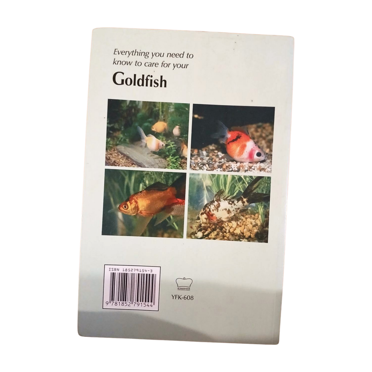 How To Care For Your Goldfish by Lynda Watson