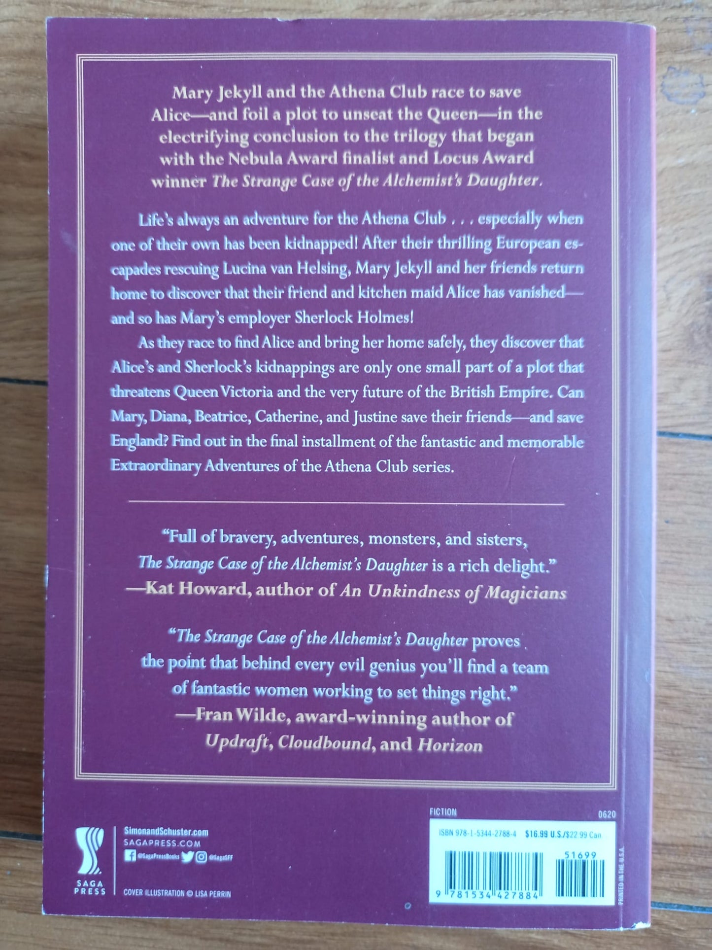 The Sinister Mystery of the Mesmerizing Girl by Theodora Goss