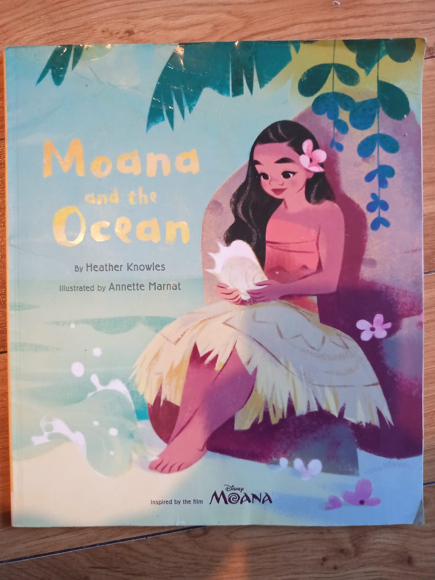 Moana and the Ocean by Heather Knowles