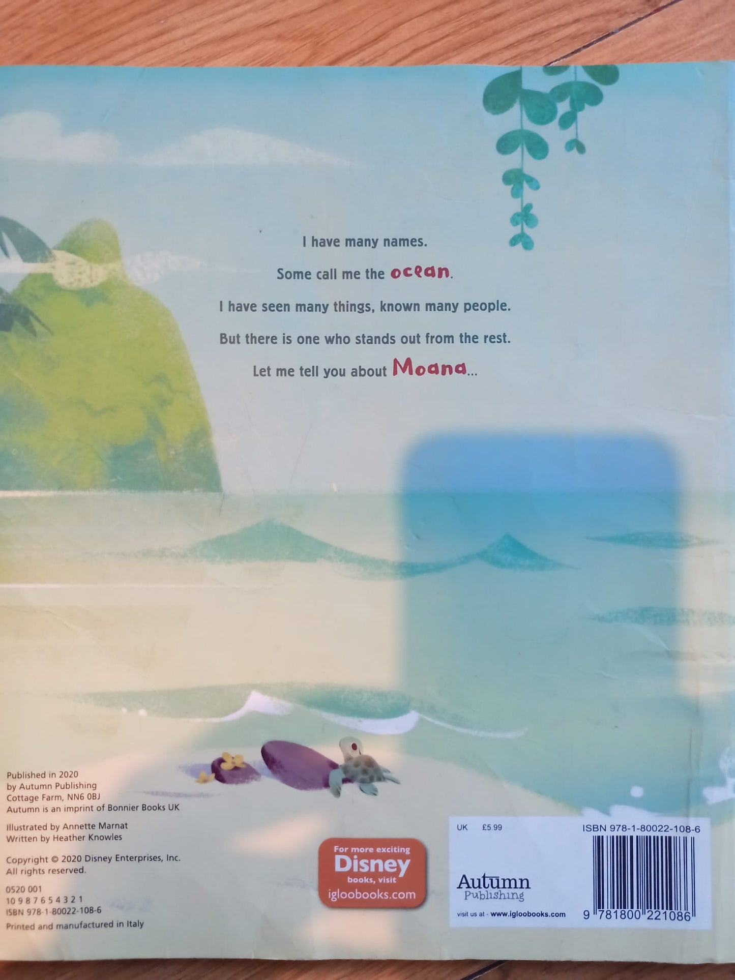 Moana and the Ocean by Heather Knowles