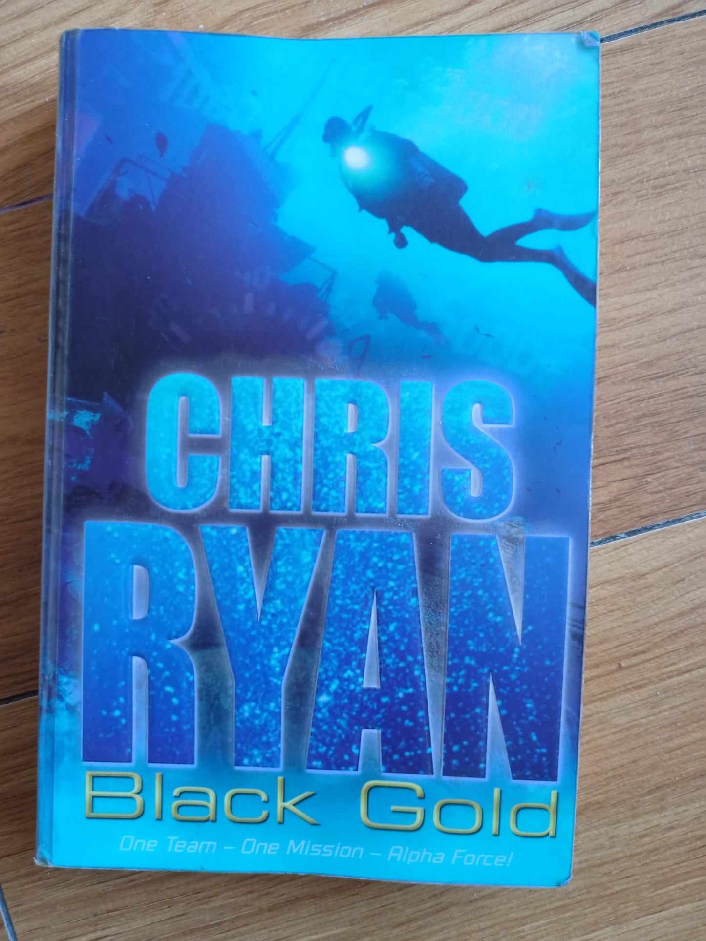 Black Gold by Chris Ryan