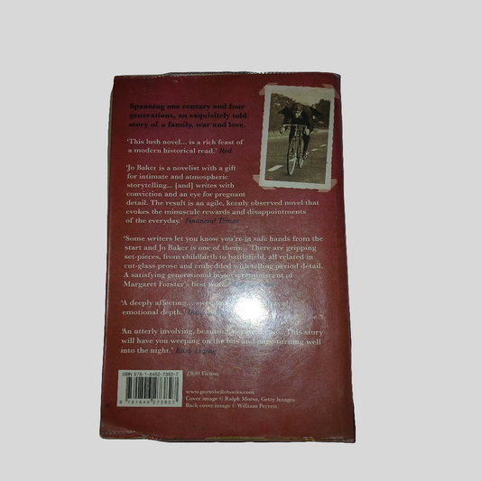 The Picture Book by Jo Baker