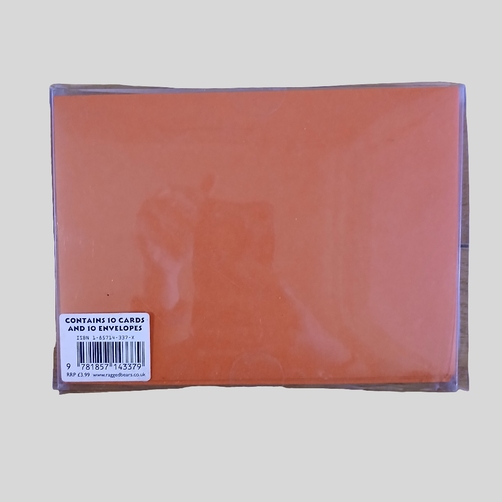 10 Party Invitations with Envelopes In Box