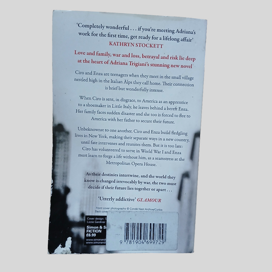 The Shoemaker's Wife by Adriana Trigiani