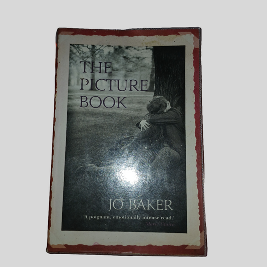 The Picture Book by Jo Baker