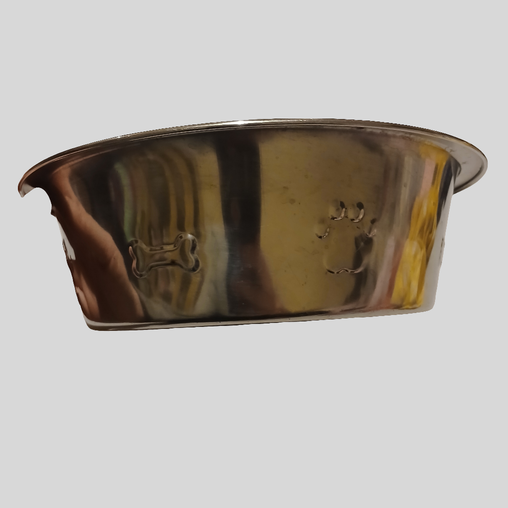Dog Bowl