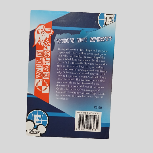 High School Musical: Stories From East High