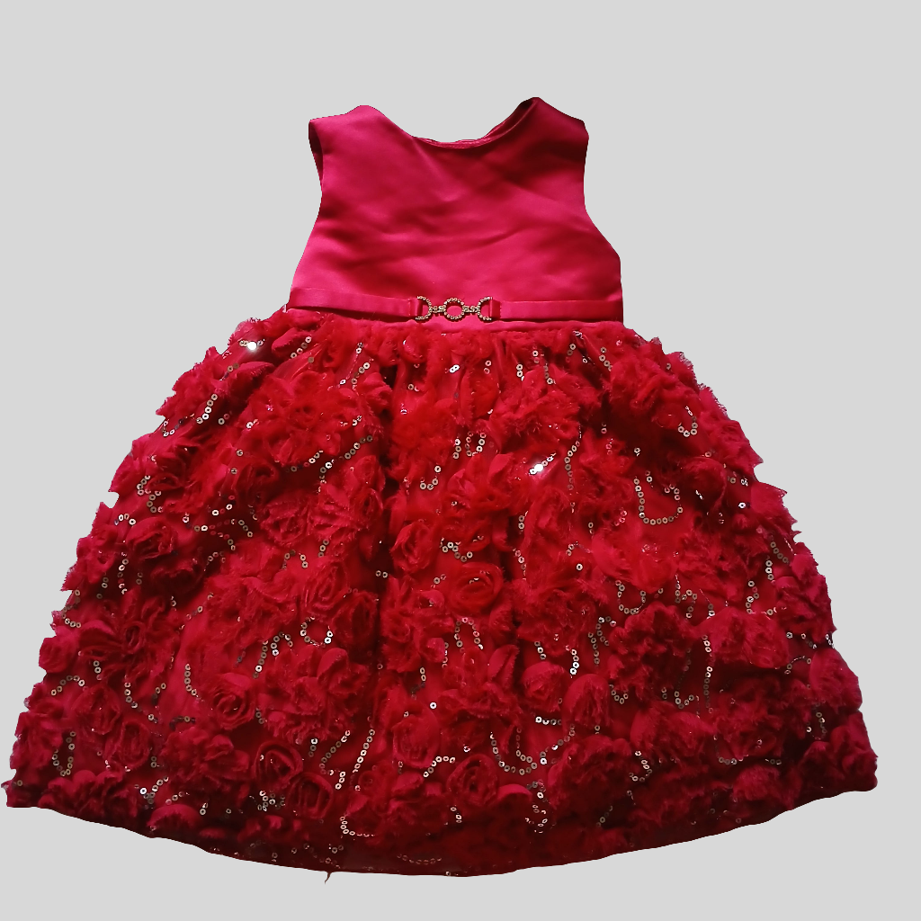 Cinderella Red Dress Age 4