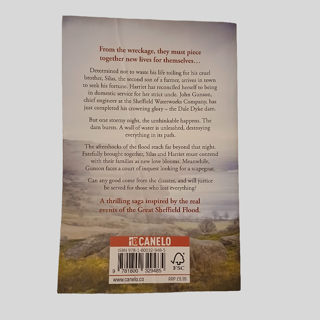 The Ragged Valley by Joanne Clague (Book 1 of 3)