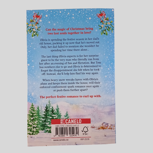 A Country Village Christmas by Suzanne Snow