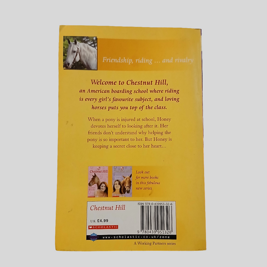 Chestnut Hill: Heart of Gold (Book 3) by Lauren Brooke