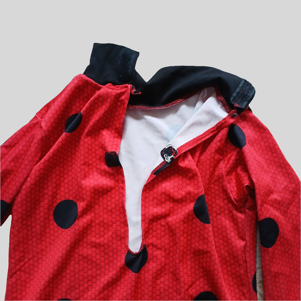 Miraculous Ladybug Costume