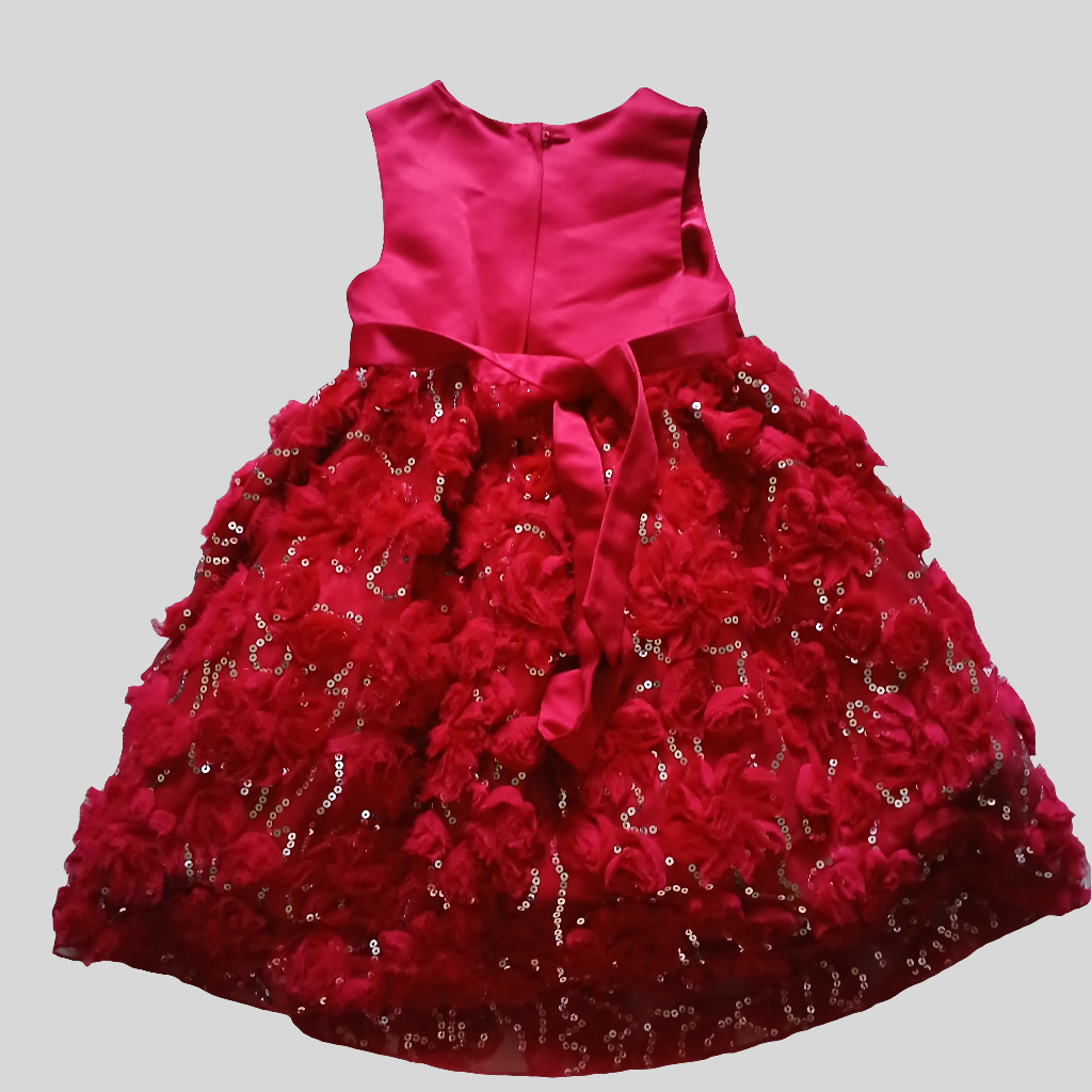Cinderella Red Dress Age 4