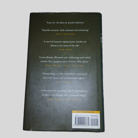 The Gingerbread Woman by Jennifer Johnston