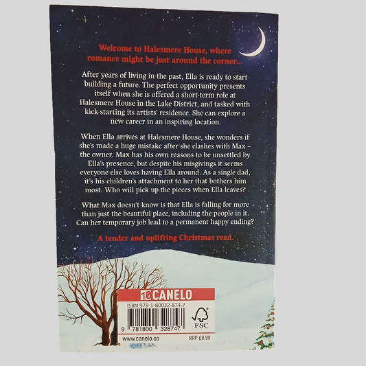 Snowfall Over Halesmere House by Suzanne Snow