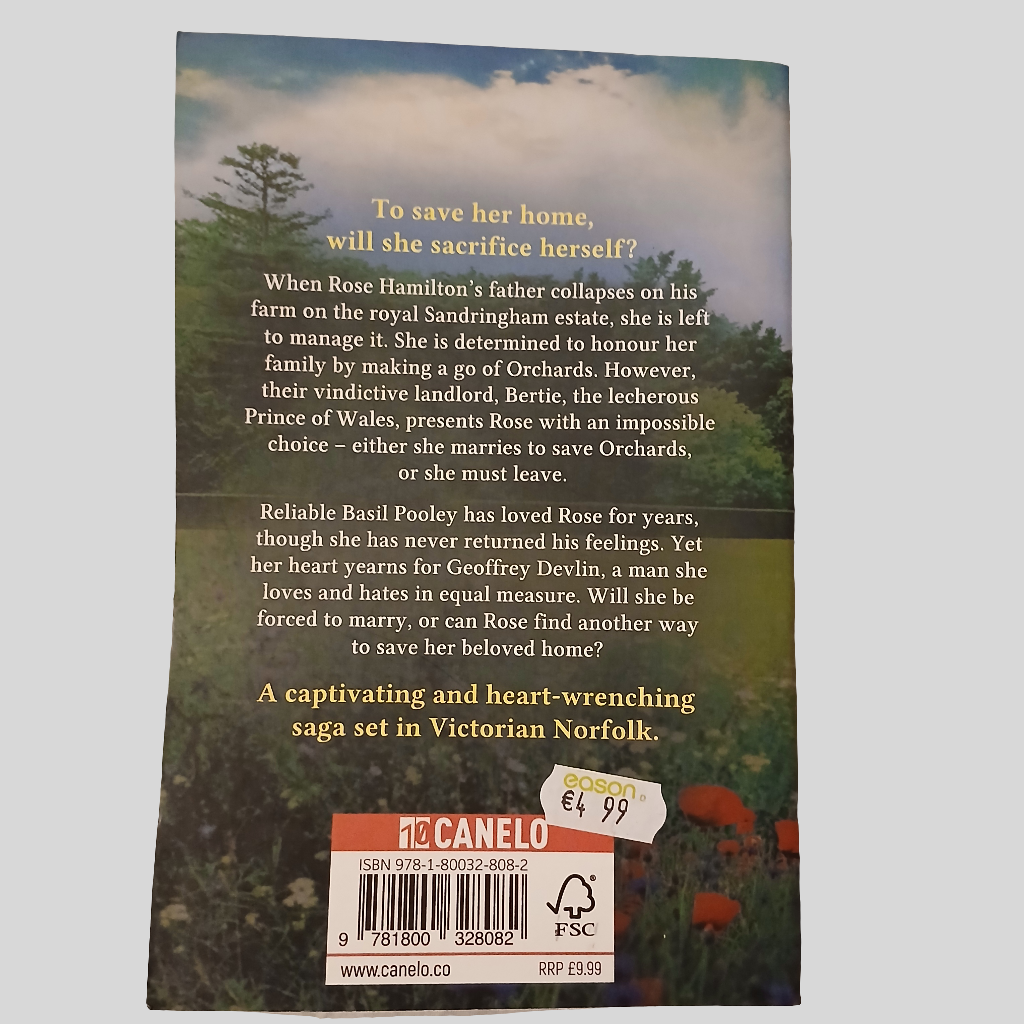 Sandringham Rose by Mary Mackie