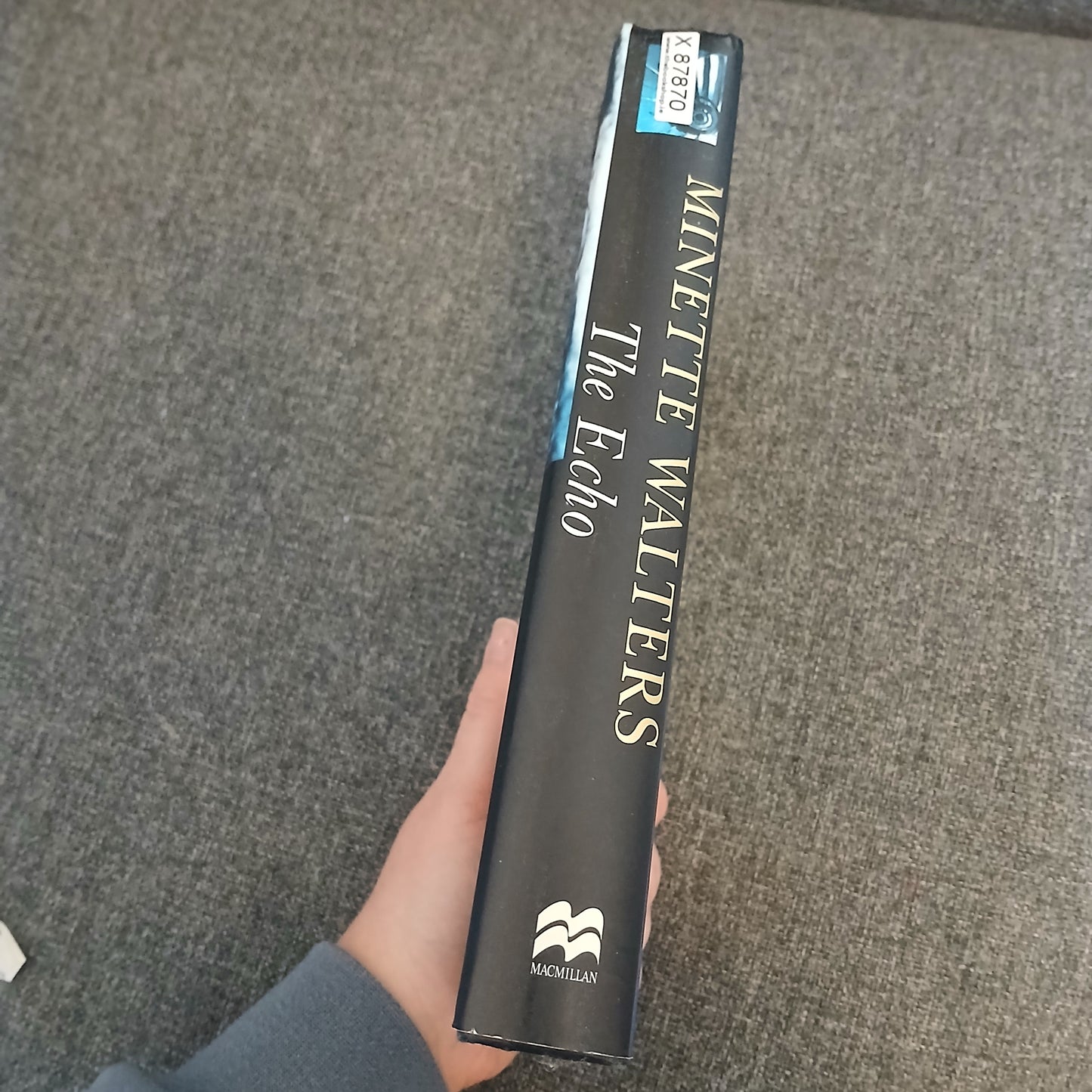 The Echo by Minette Walters