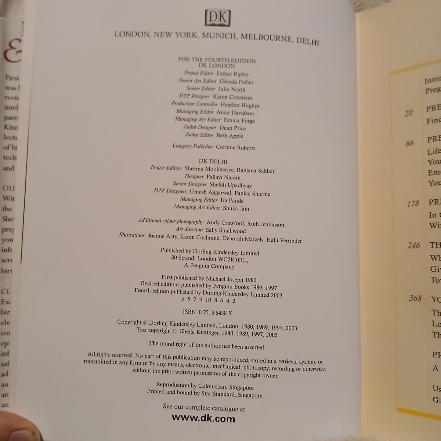 The New Pregnancy & Childbirth Choices and Challenges by Sheila Kitzinger