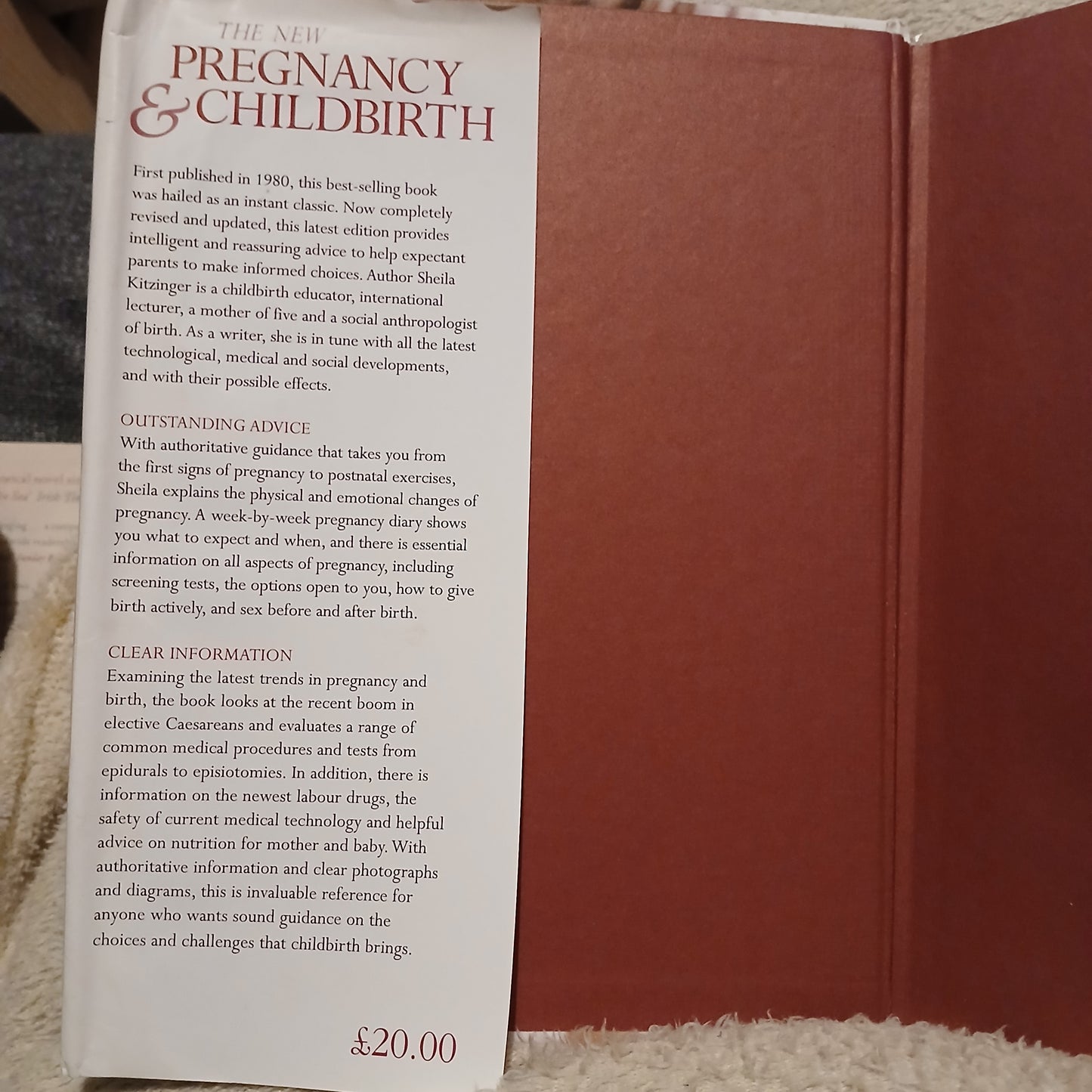 The New Pregnancy & Childbirth Choices and Challenges by Sheila Kitzinger