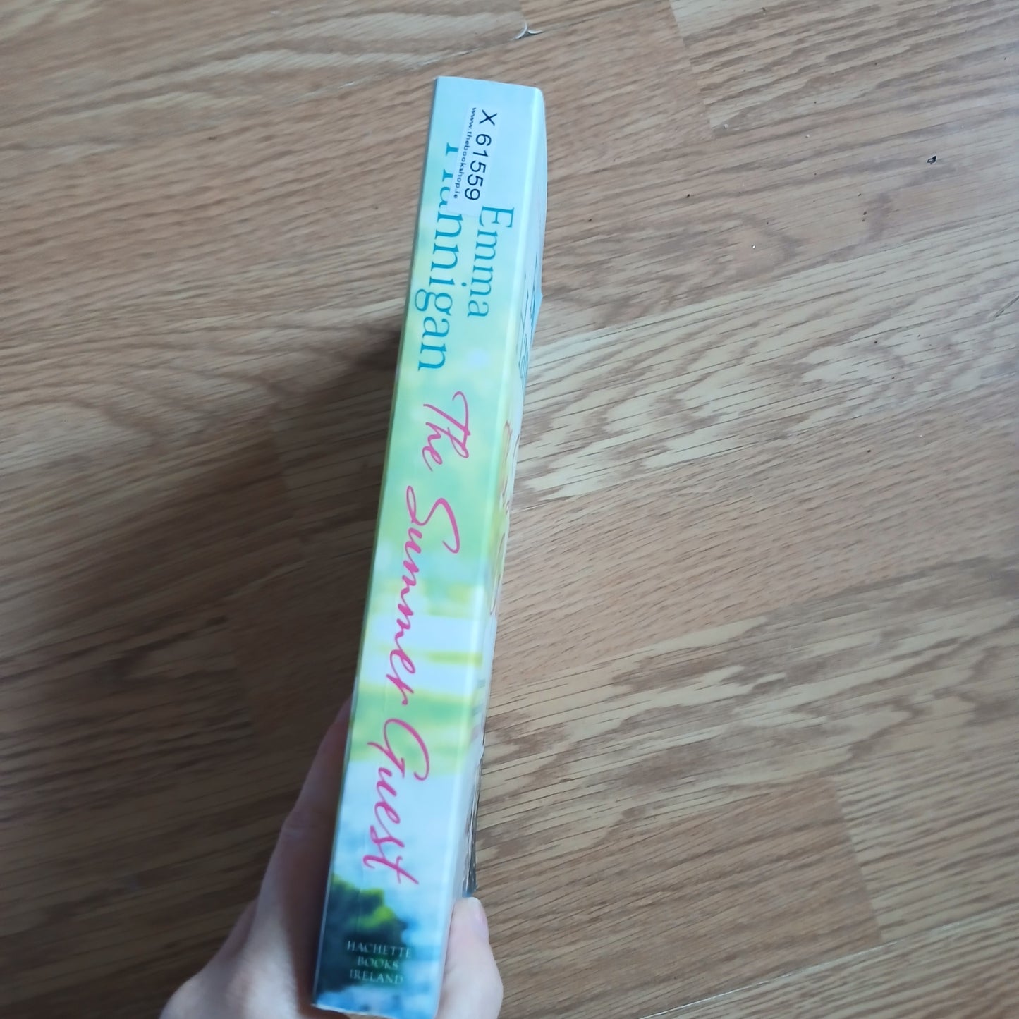 The Summer Guest by Emma Hannigan