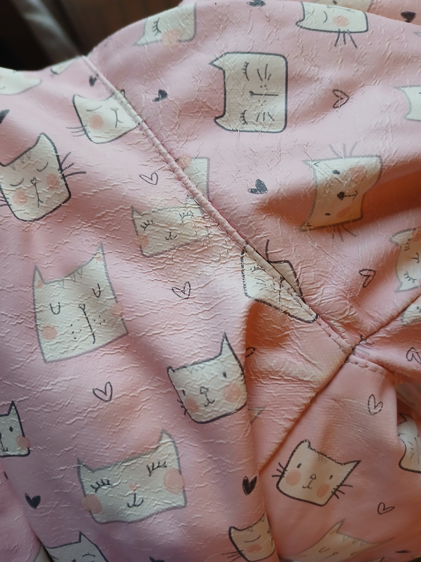 Dunnes Cat Coat Age 2-3