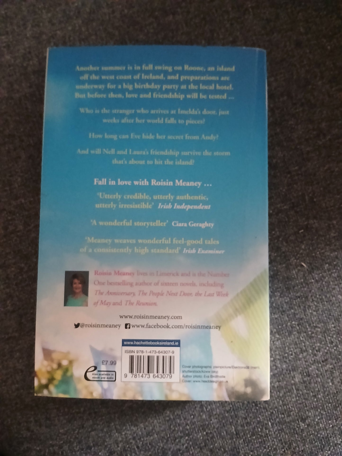 The Birthday Party by Roisin Meaney