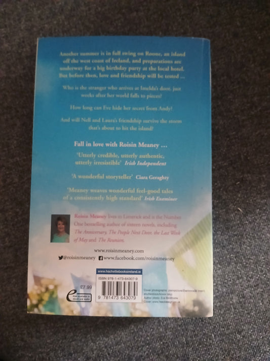 The Birthday Party by Roisin Meaney