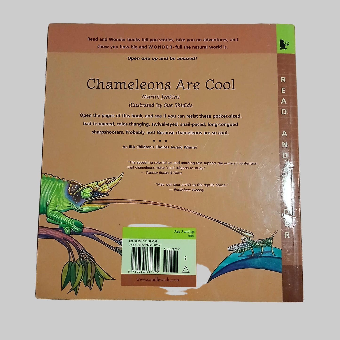 Chameleons Are Cool by Martin Jenkins