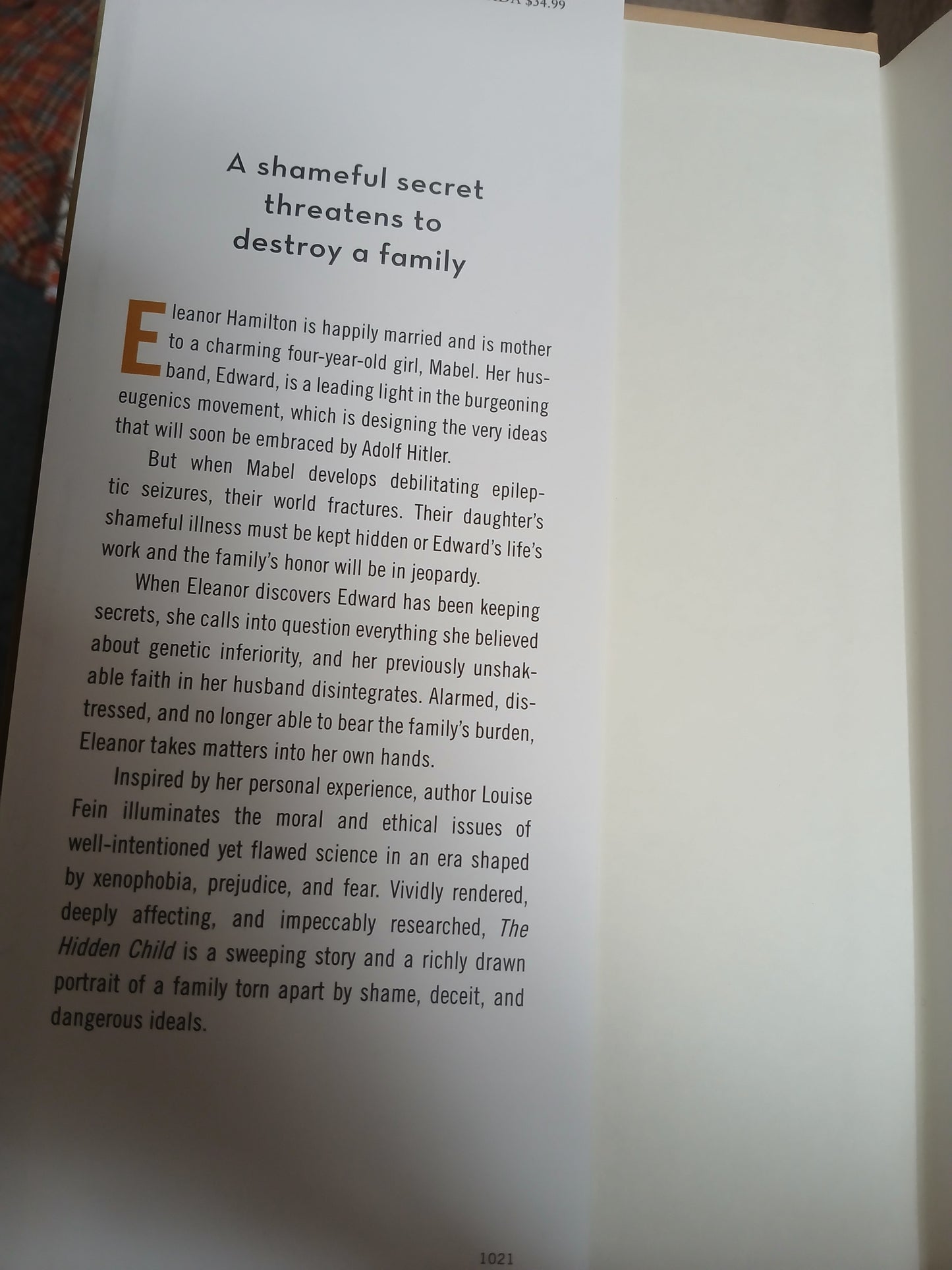 The Hidden Child by Louise Fein