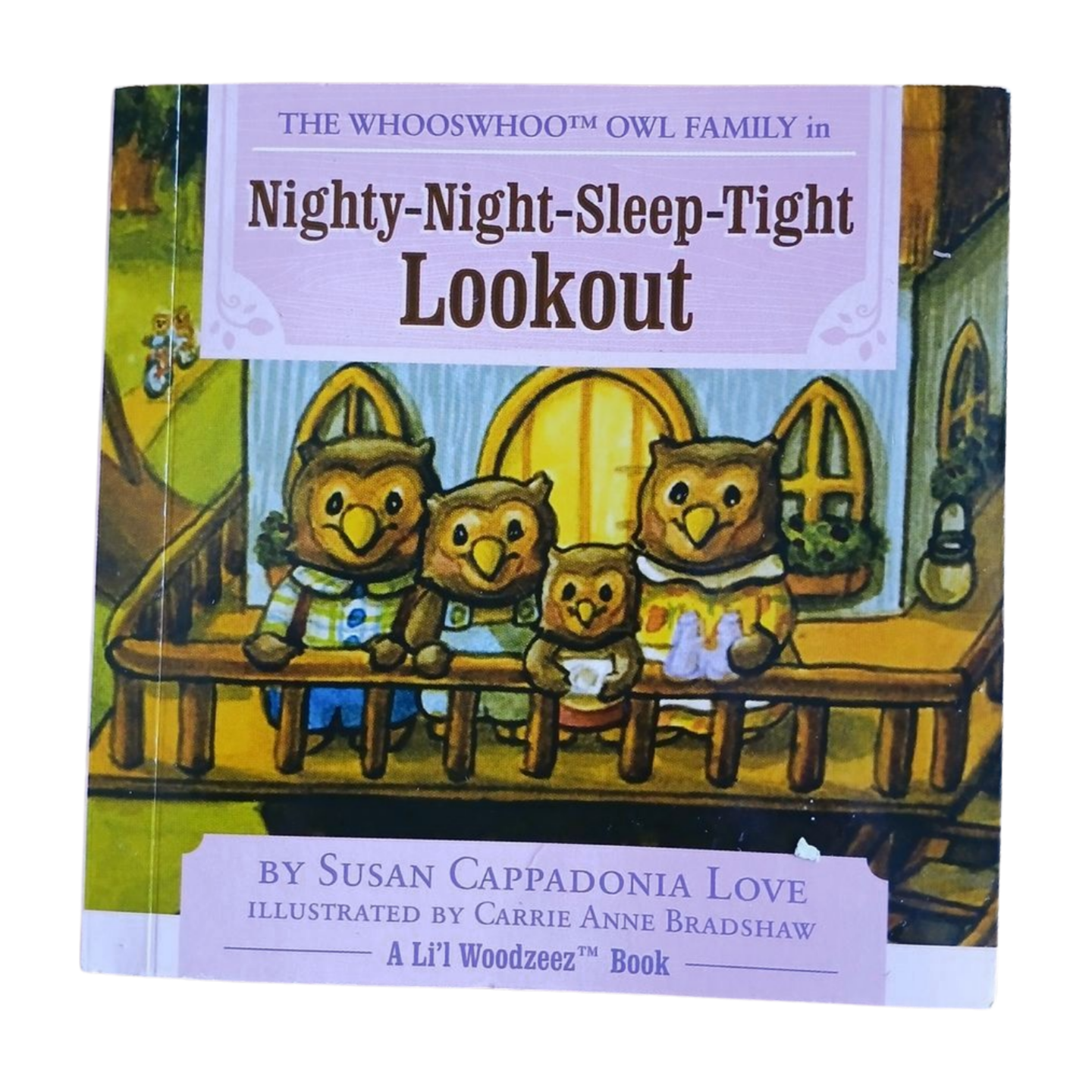 Nighty-Night-Sleep-Tight Lookout Mini Book