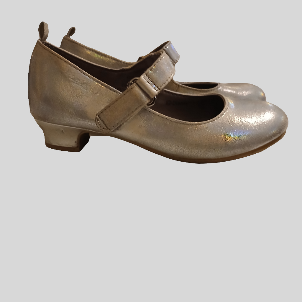 Frozen Silver Shoes Size 11