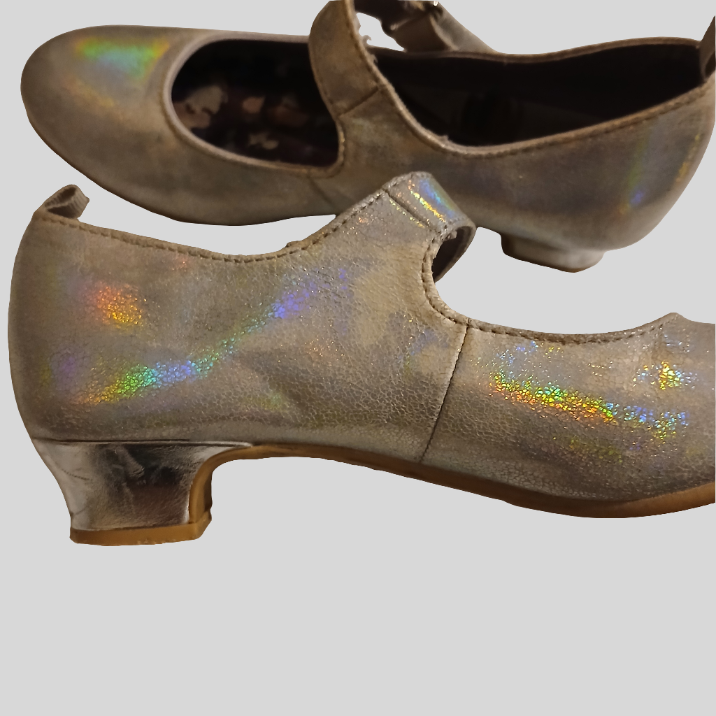 Frozen Silver Shoes Size 11