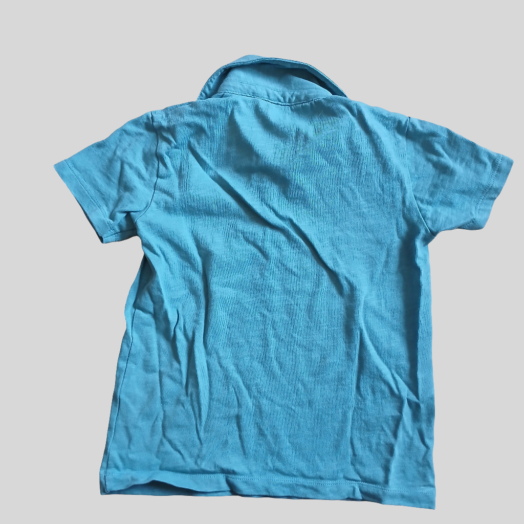 Next Green/Blue T-Shirt