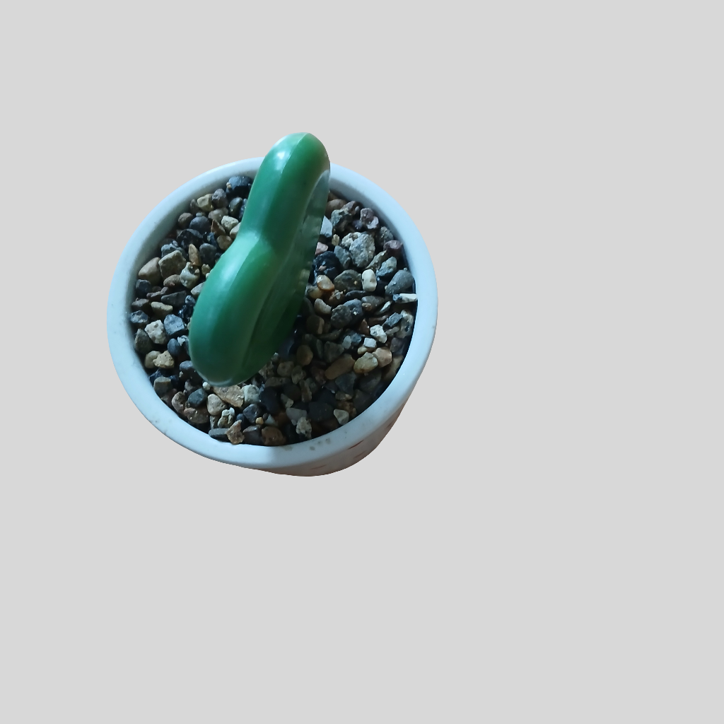 Decorative Heart Ornament