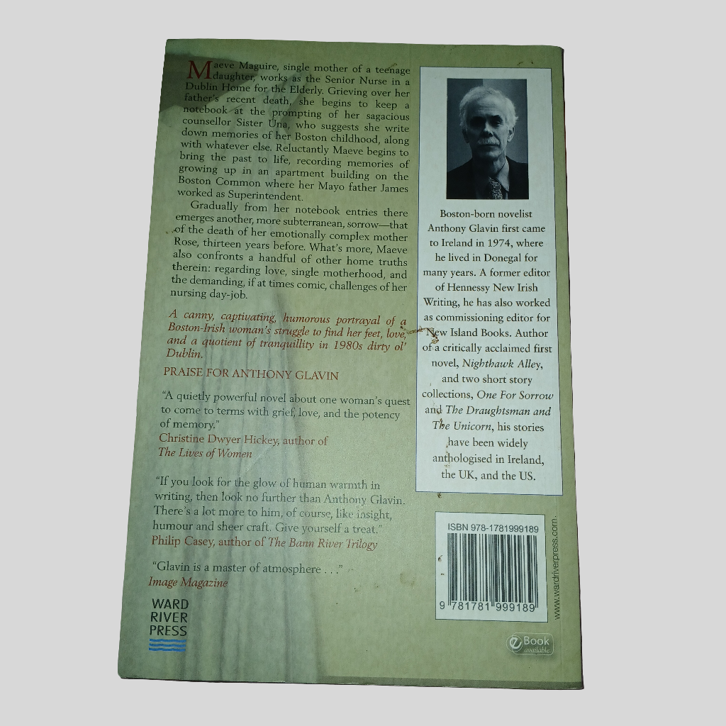 Colours Other Than Blue by Anthony Glavin