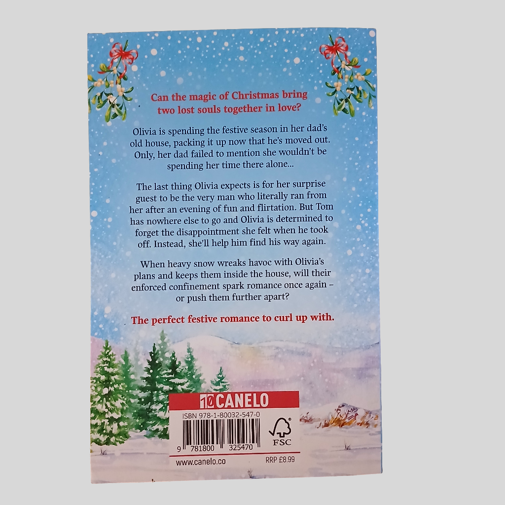 A Country Village Christmas by Suzanne Snow