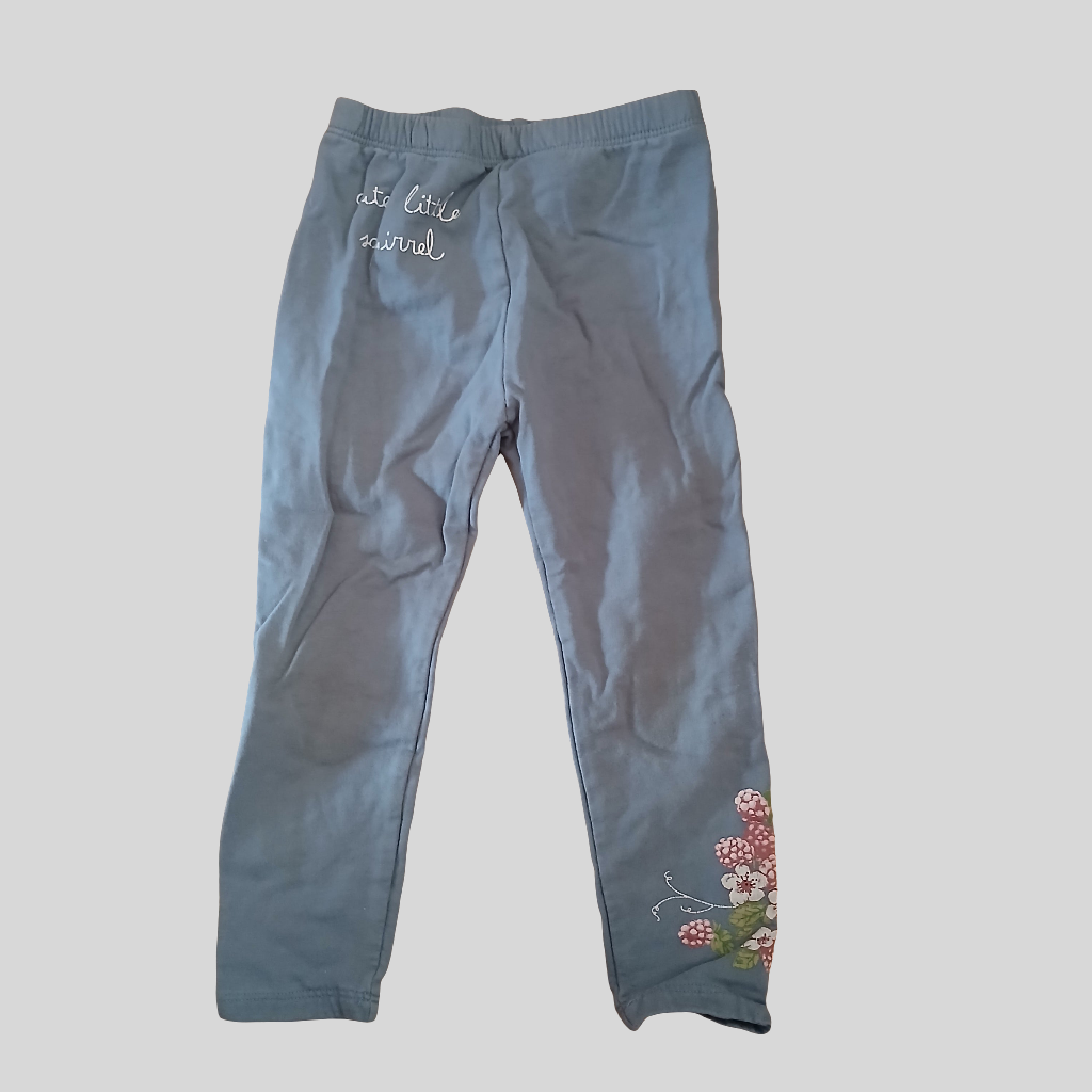 "So Cute" Squirrel Grey Leggings Age 2-3