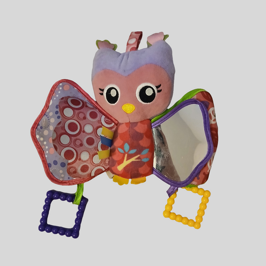 Playgro Hooty Owl Sensory Toy