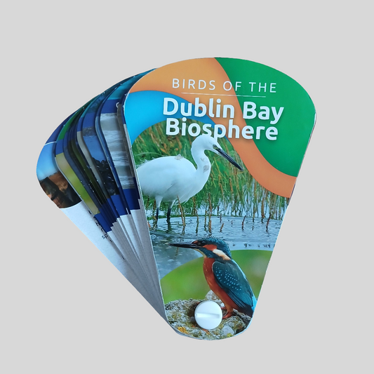 Birds of the Dublin Bay Biosphere