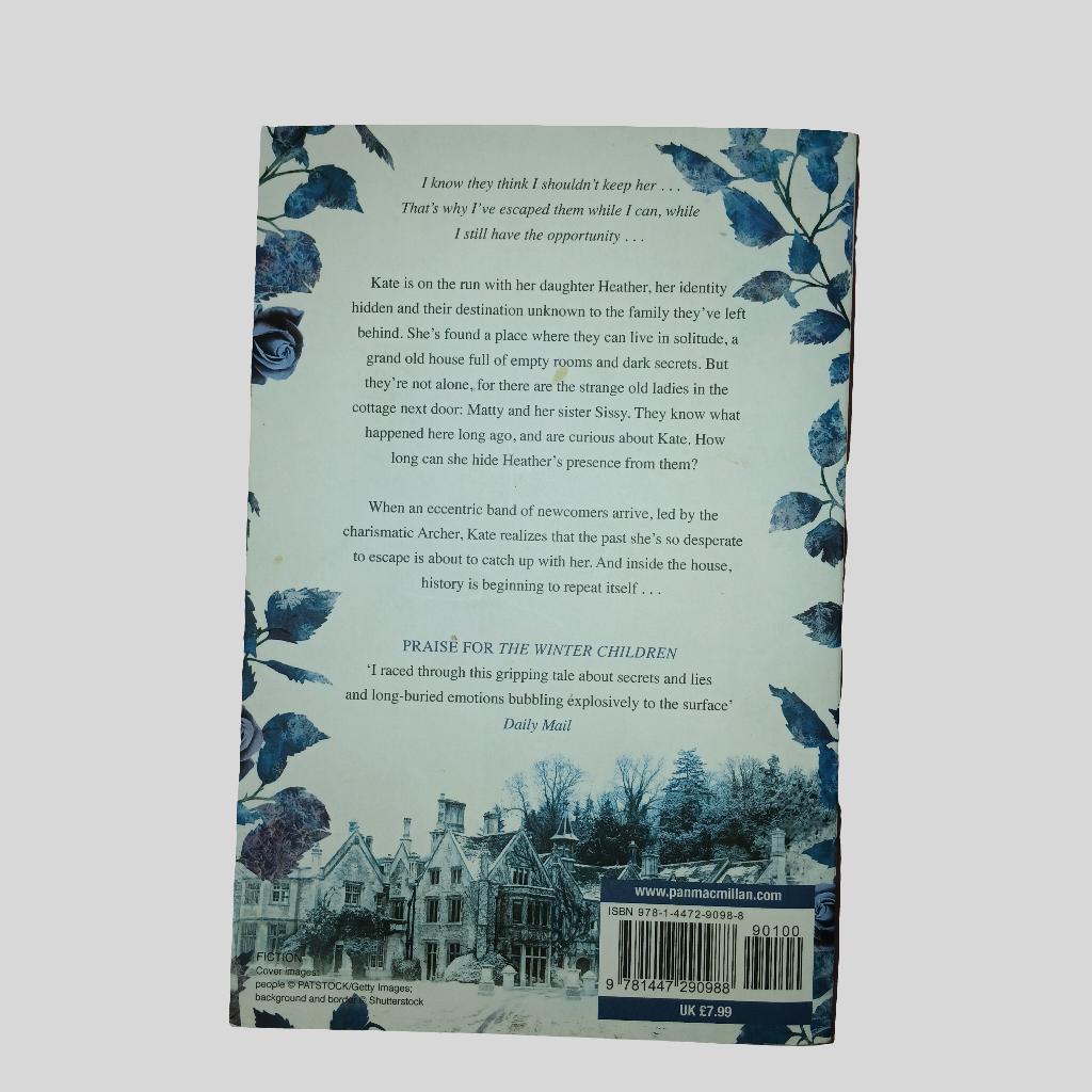 The Snow Rose by Lulu Taylor