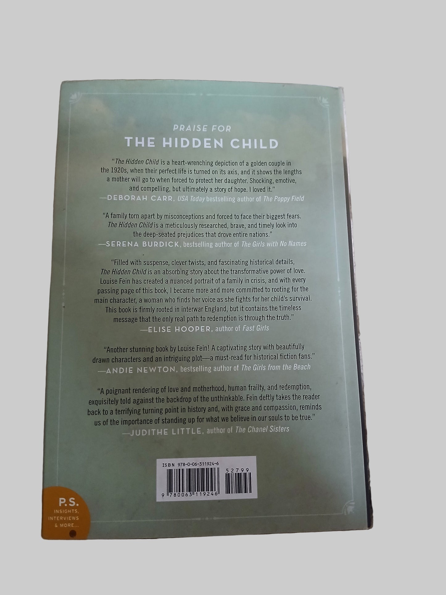 The Hidden Child by Louise Fein