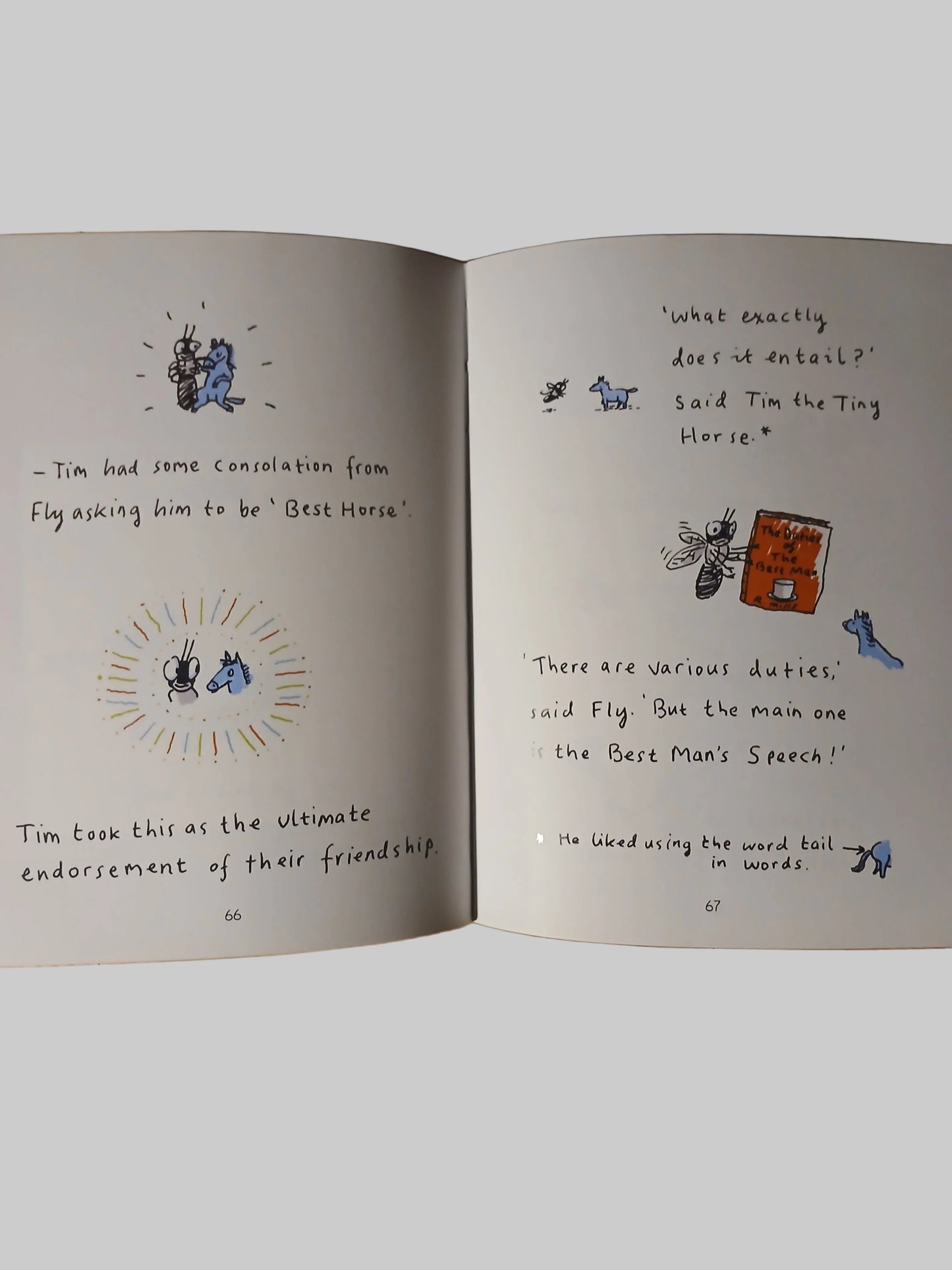 Tim The Tiny Horse At Large by Harry Hill