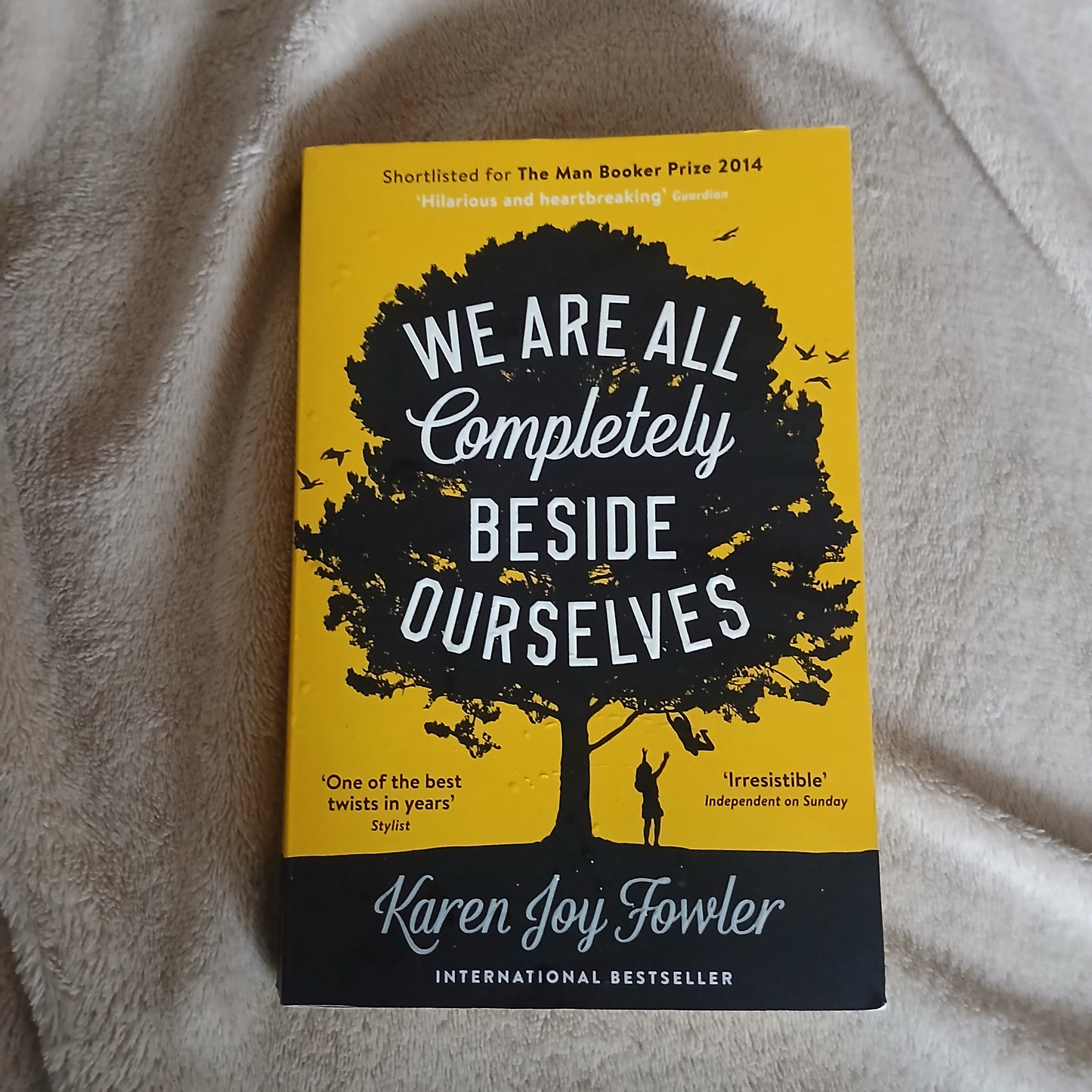 We Are All Completely Beside Ourselves - Karen Joy Fowler