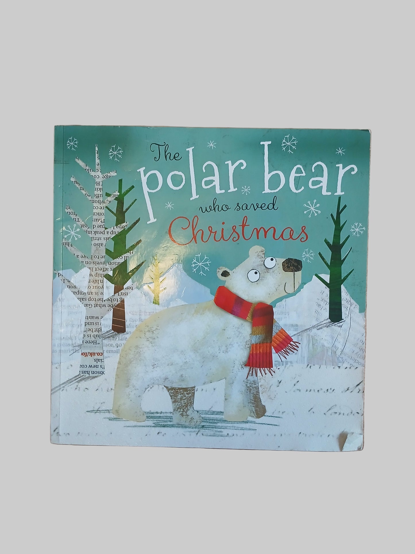 The Polar Bear Who Saved Christmas by Fiona Boon