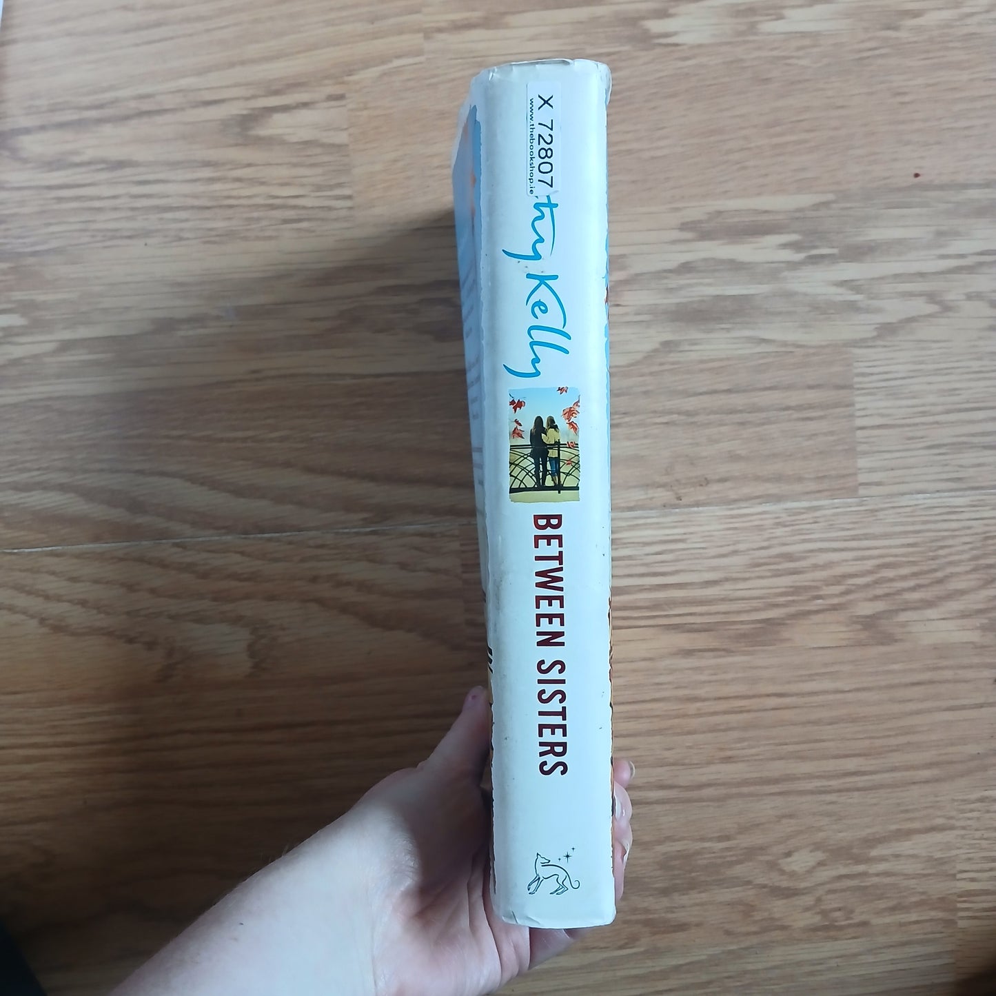 Between Sisters by Cathy Kelly