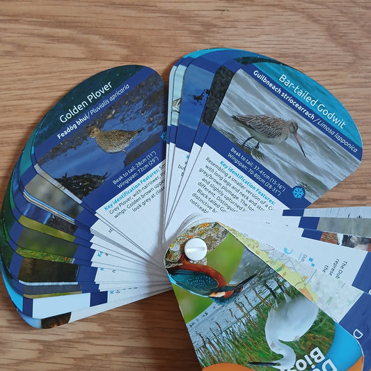 Birds of the Dublin Bay Biosphere