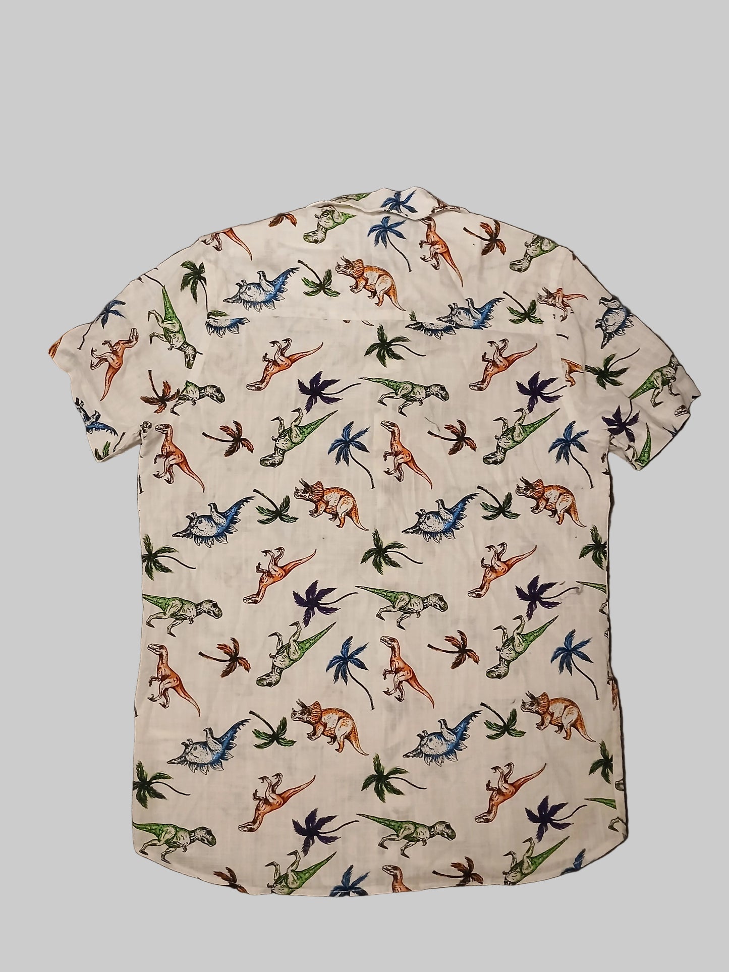 F&F Dinosaur Shirt Age 10-11