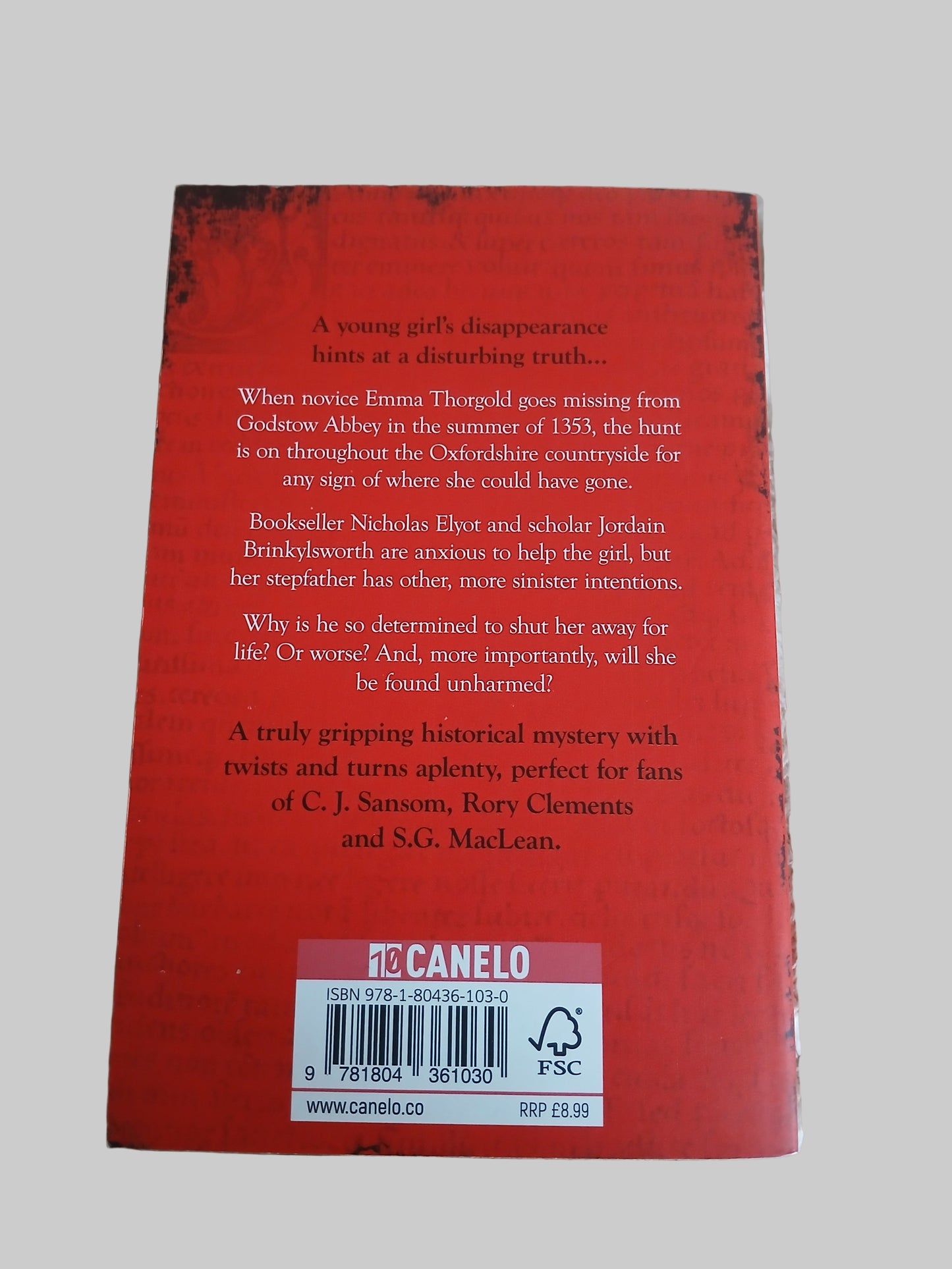 The Novice's Tale by Ann Swinfen